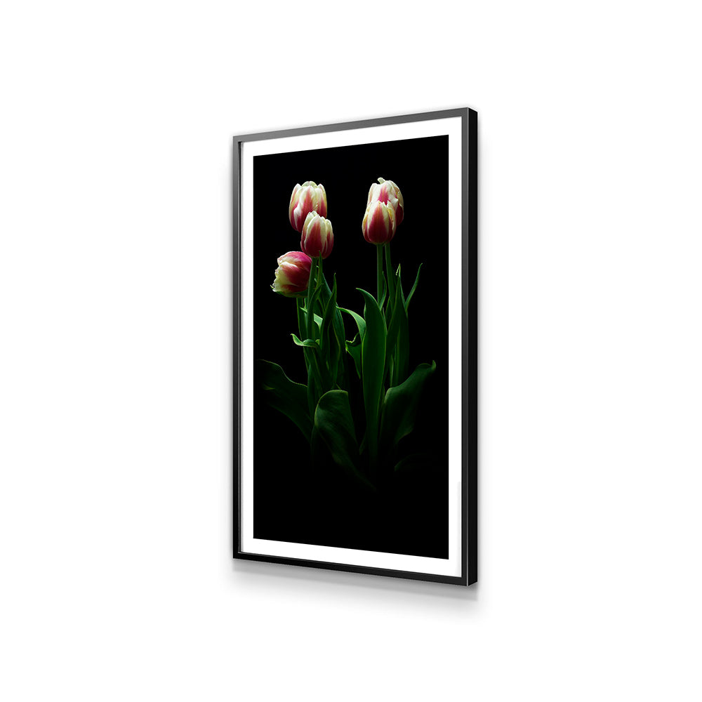 21.5" Digital Canvas