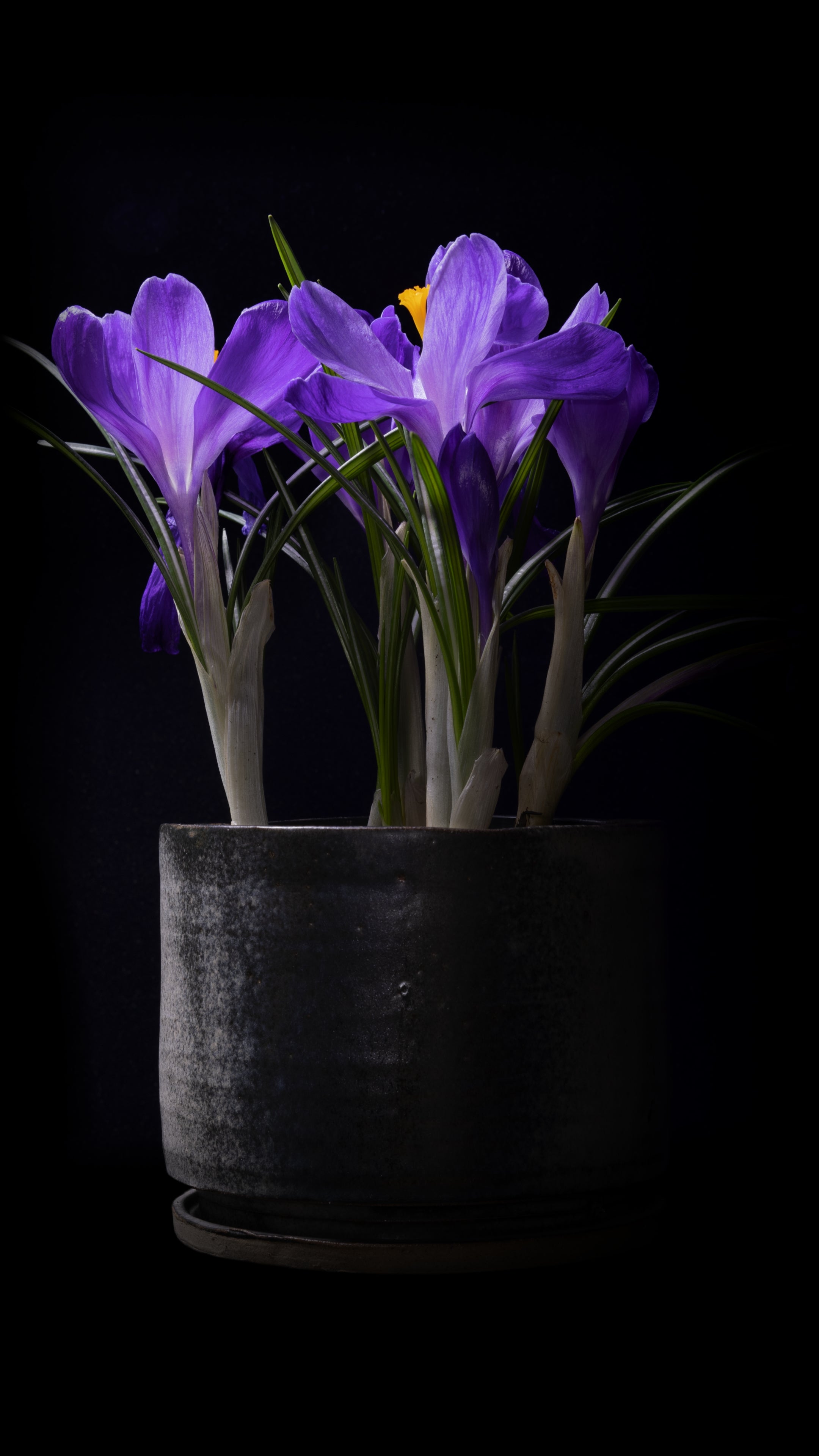 Fine Art: Art Miami 2025