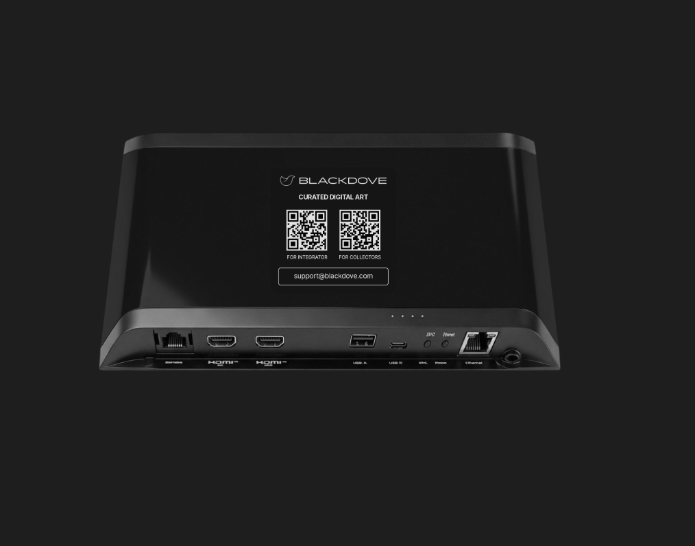 BD01: 4K 60FPS 256GB SSD (UH1145)