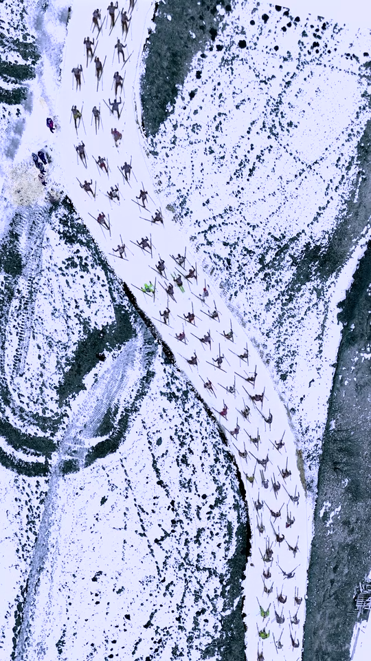 Fine Art: Art Miami 2025