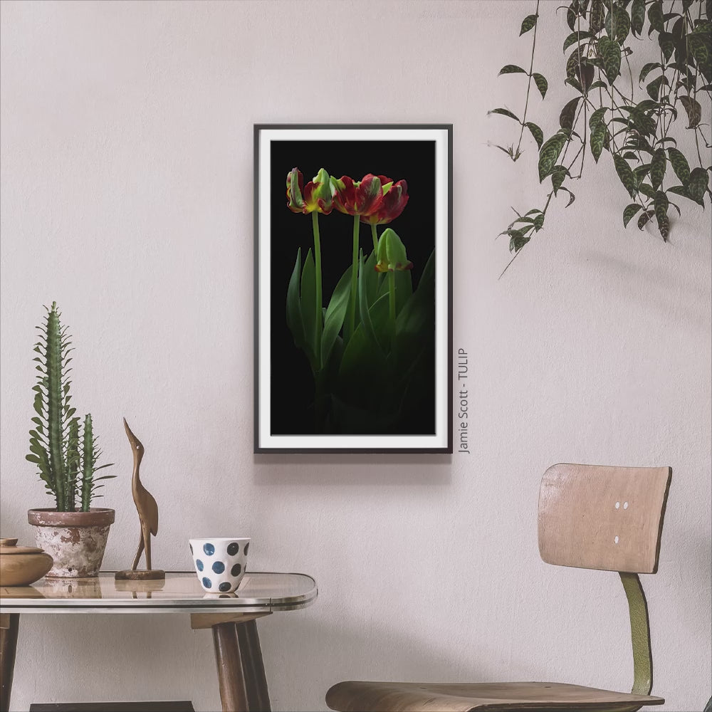 21.5" Digital Canvas