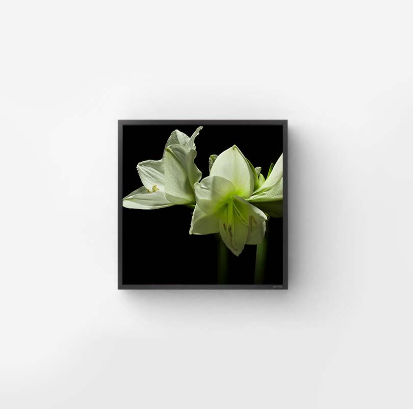 Gallery 5 Square LED