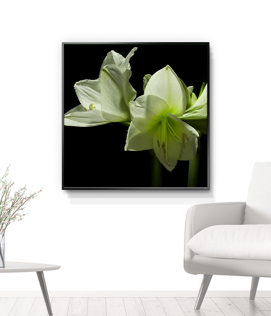 Gallery 5 Square LED