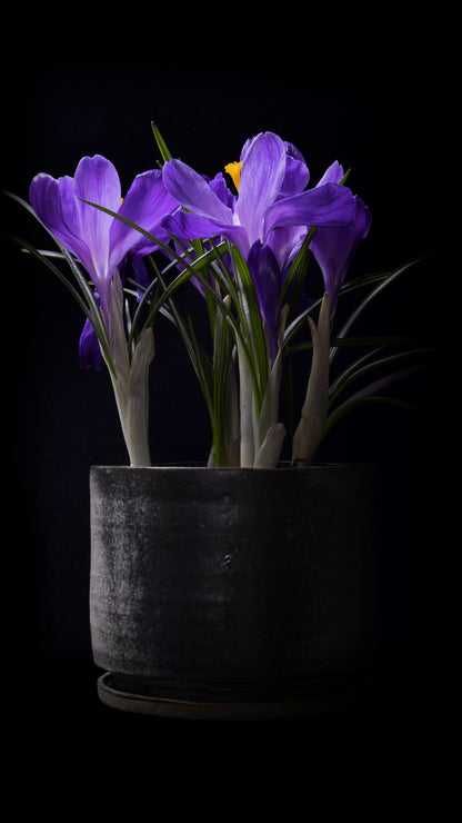 Fine Art: Art Miami 2025