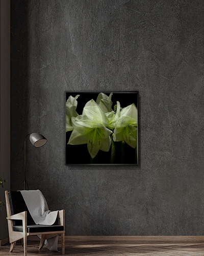 Gallery 4 Square LED