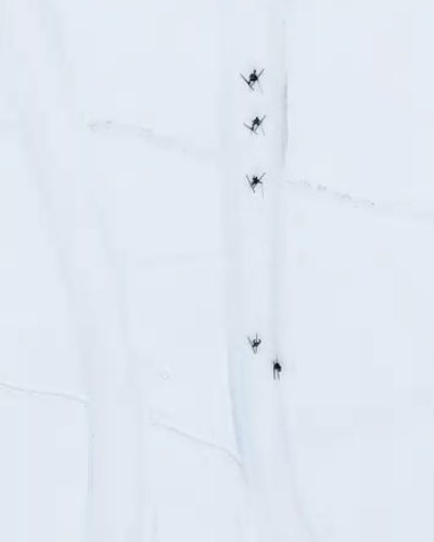 Fine Art: Art Miami 2025