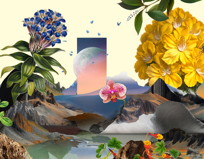 Fine Art: Art Miami 2025