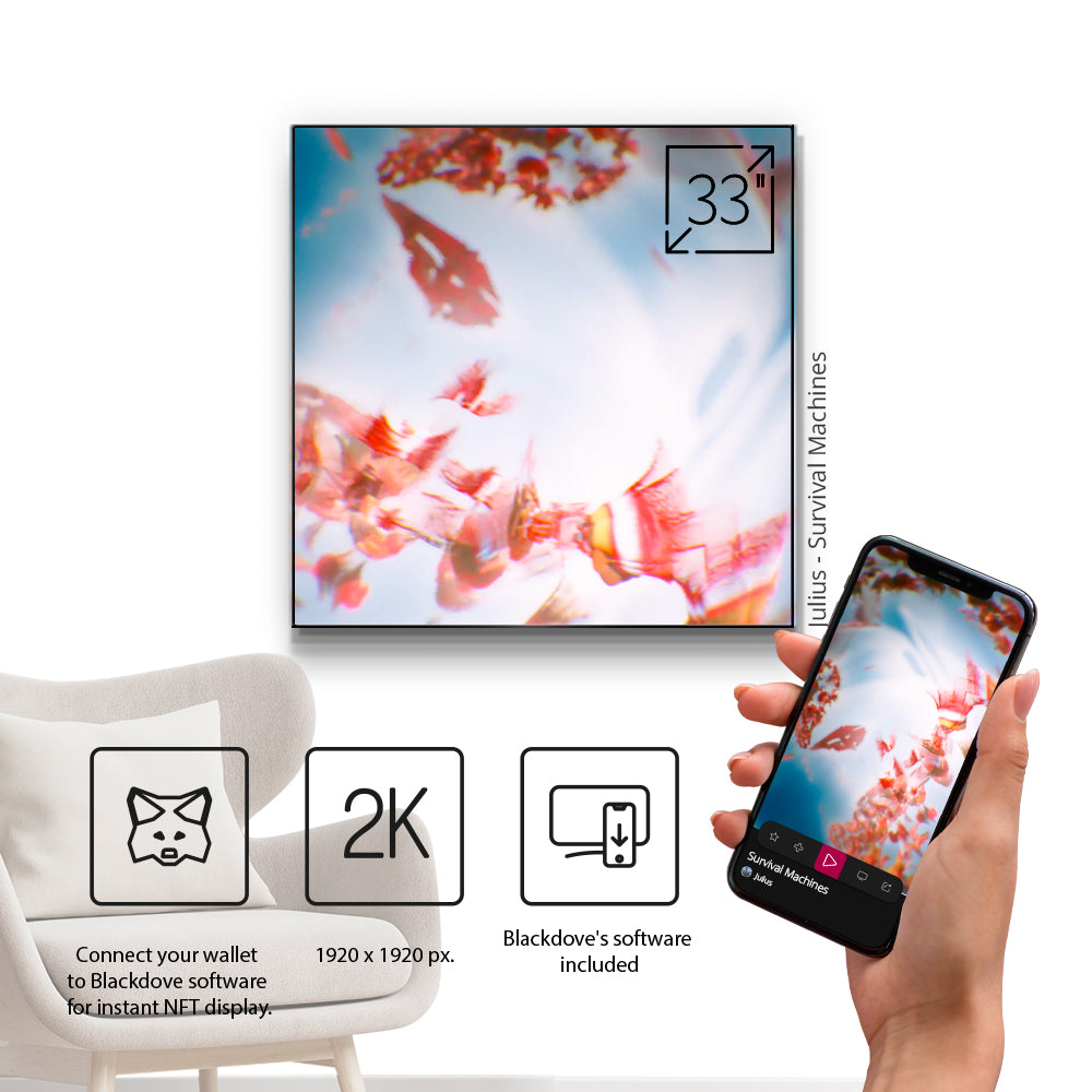 Blackdove Digital Canvas